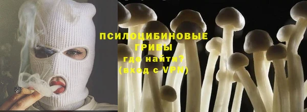 прущие крисы Кодинск