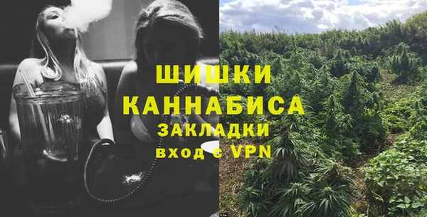 прущие крисы Кодинск