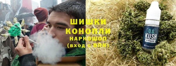 амф Коряжма