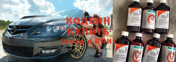 прущие крисы Кодинск